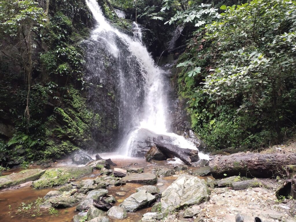 Erin-Ijesha Waterfalls (Olumirin Falls)