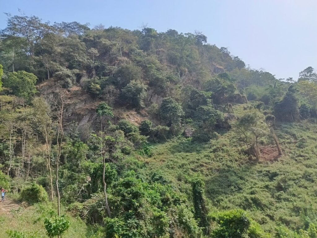 Erin-Ijesha Waterfalls (Olumirin Falls)